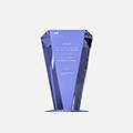 Award Image 4
